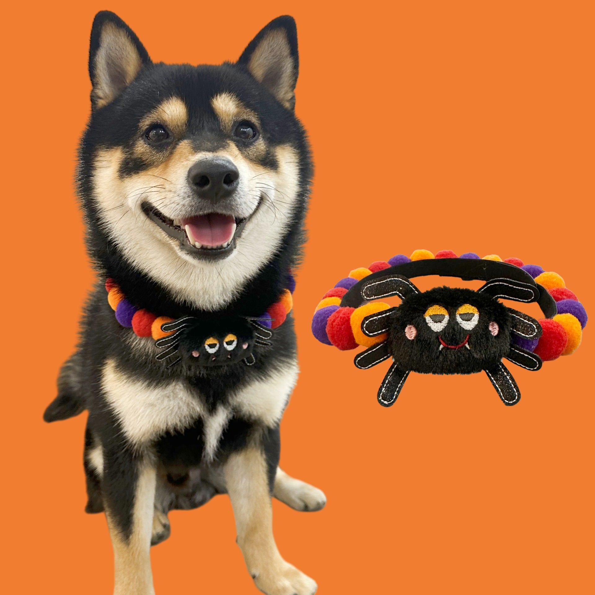 Halloween Dog Collar – Pumpkin Bat Skull Spider Pet Collar for Dogs & Cats