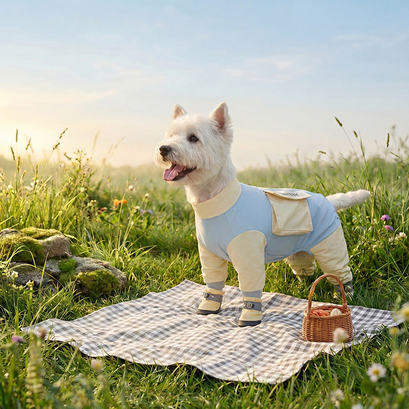 HipiDogs Full-Cover Dog Recovery Suit | Breathable Recovery Onesie for Dogs