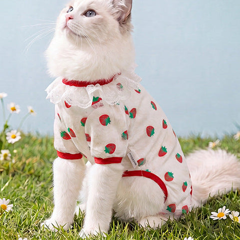 HipiDogs Daisy Anti-Shedding Cat Recovery Suit | Breathable Protective Onesie