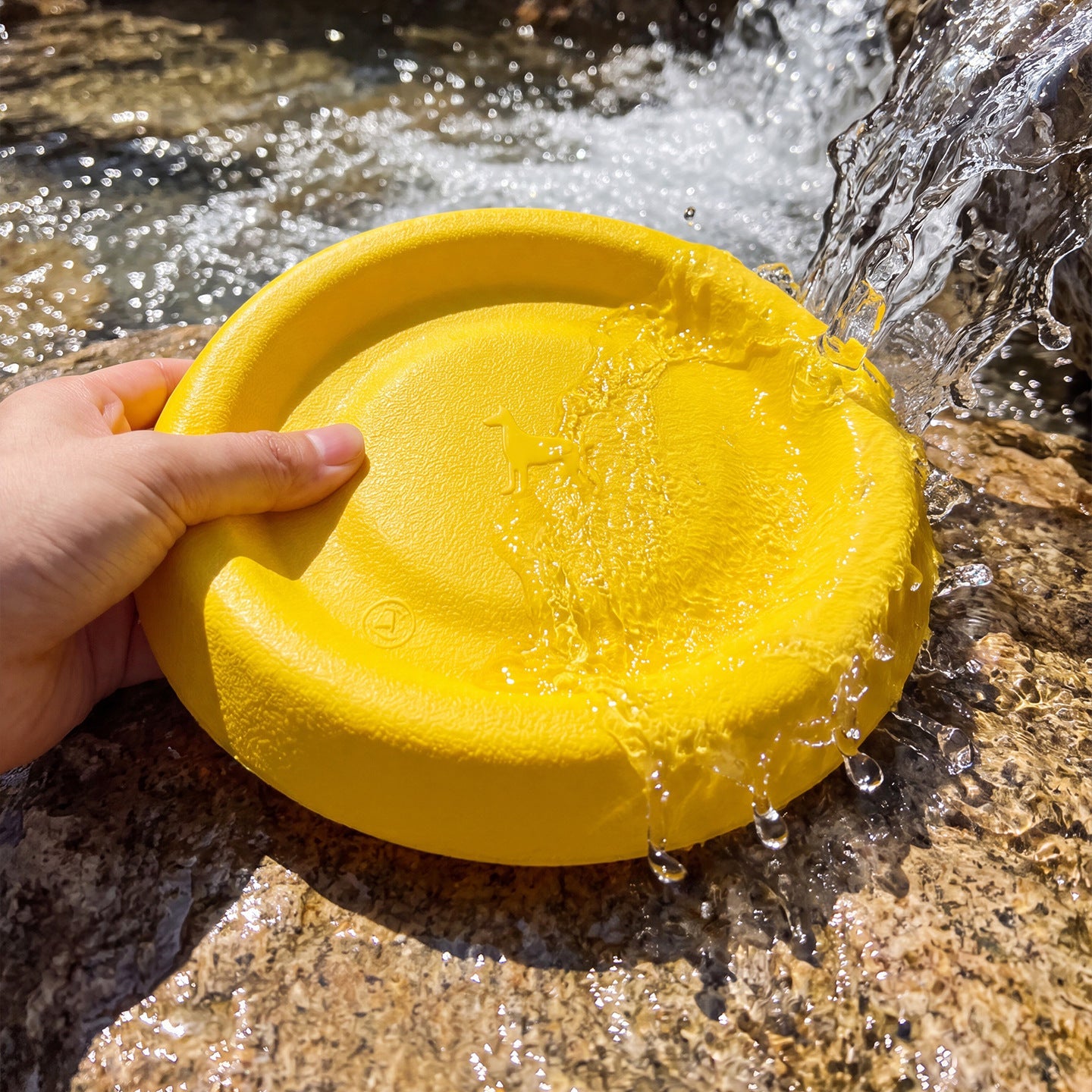 Durable Flying Disc Dog Toy for Outdoor Fetch & Training