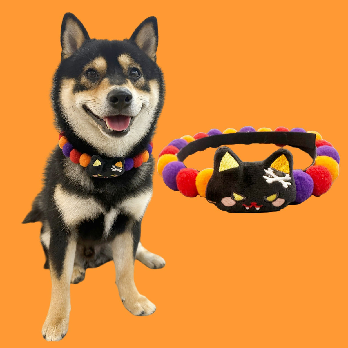 Halloween Dog Collar – Pumpkin Bat Skull Spider Pet Collar for Dogs & Cats