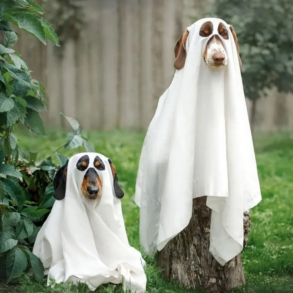 Halloween Ghost Dog Costume with Witch Hat – White Sheet Pet Costume