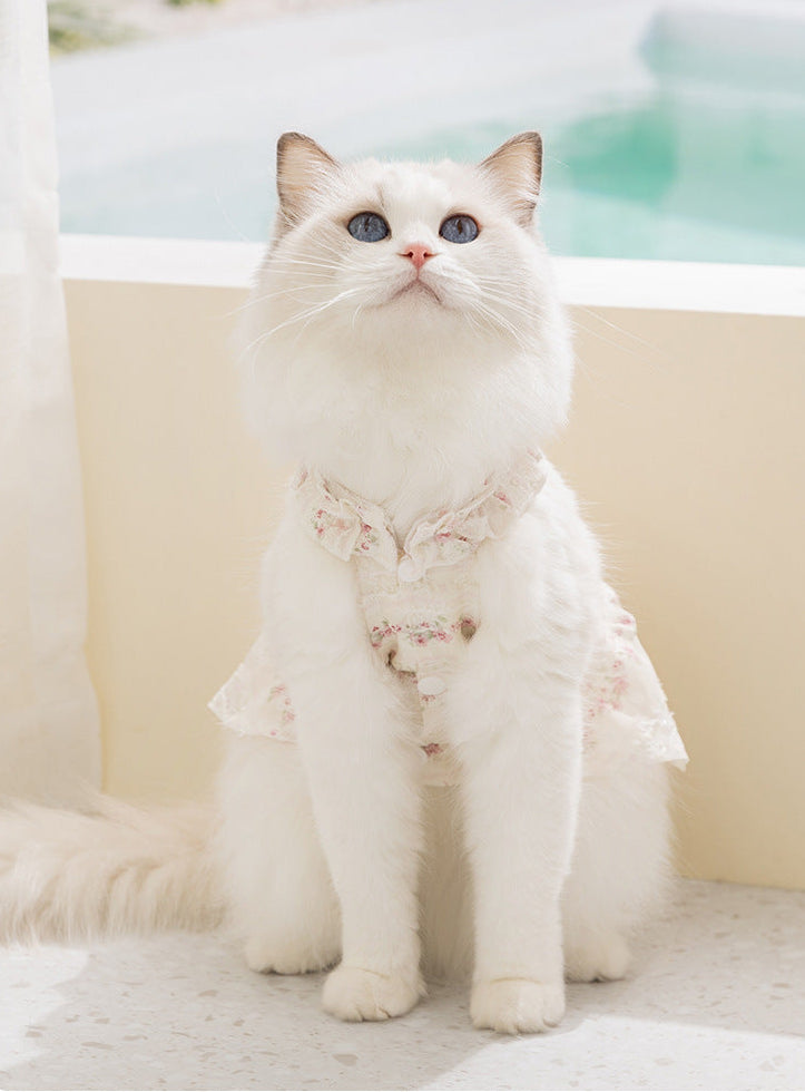Cute Cat Harness Dress – Floral Adjustable Outfit with Leash Ring