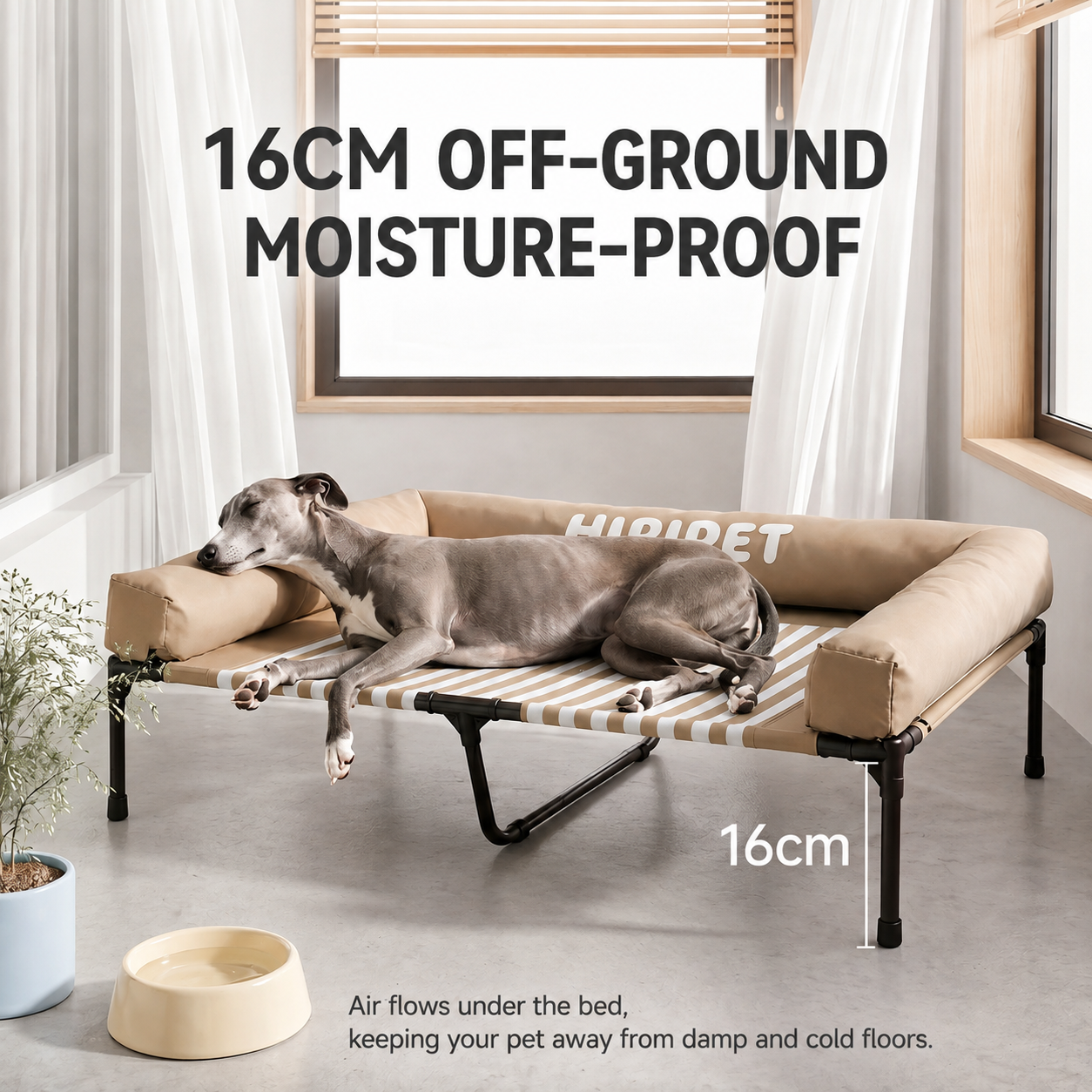 Elevated Dog Bed with Raised Bolsters for Indoor & Outdoor Use