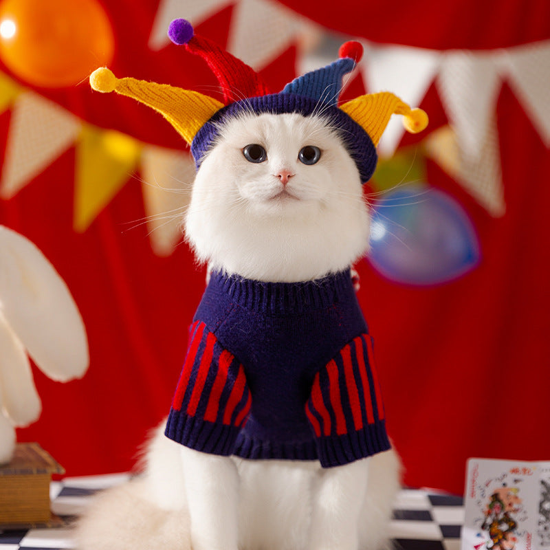 Crazy Circus Costumes for Cats – Colorful, Fun & Festive Knitwear