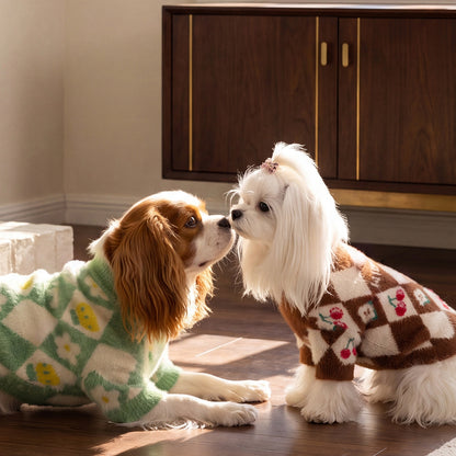 Cozy Cherry Argyle Dog Sweater – Soft Fuzzy Knit Pullover for Cool Weather