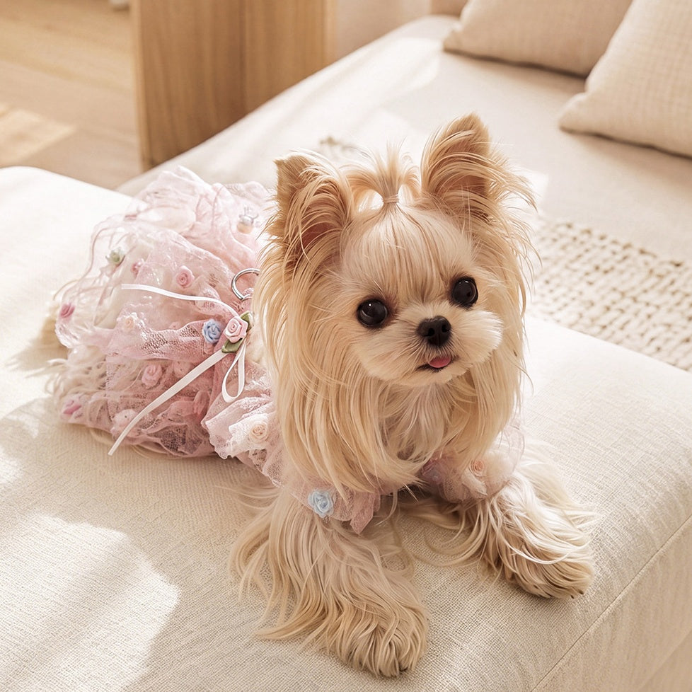 Elegant Lace Tulle Princess Dress for Dogs & Cats