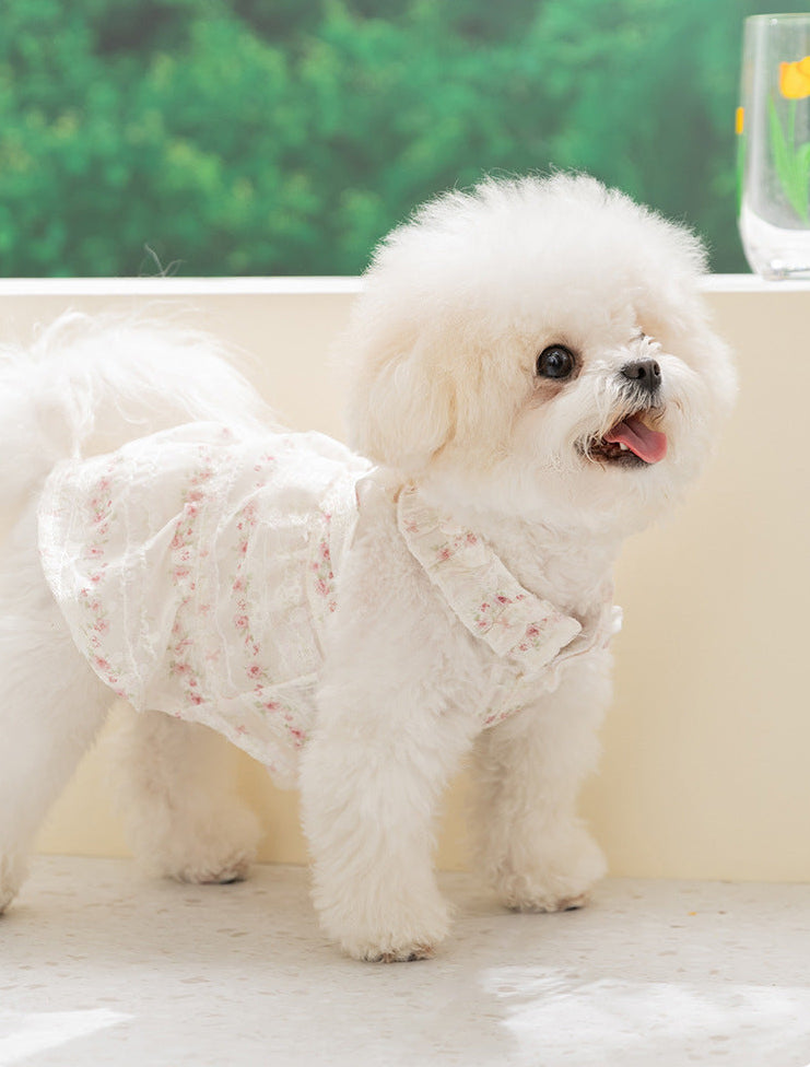 Floral Dog Harness Dress – Lightweight Ruffle Summer Fit