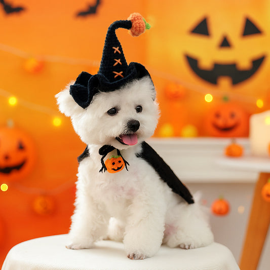 Crochet Witch Hat for Dogs & Cats – Halloween Pet Costume Hat with Pumpkin or Eyeball Detail