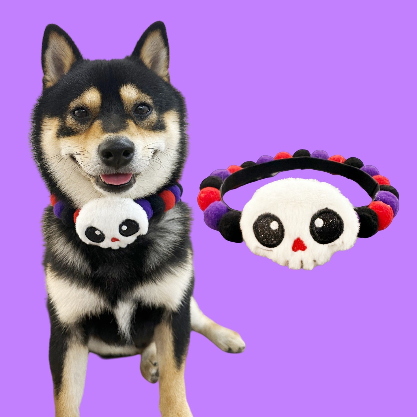 Halloween Dog Collar – Pumpkin Bat Skull Spider Pet Collar for Dogs & Cats
