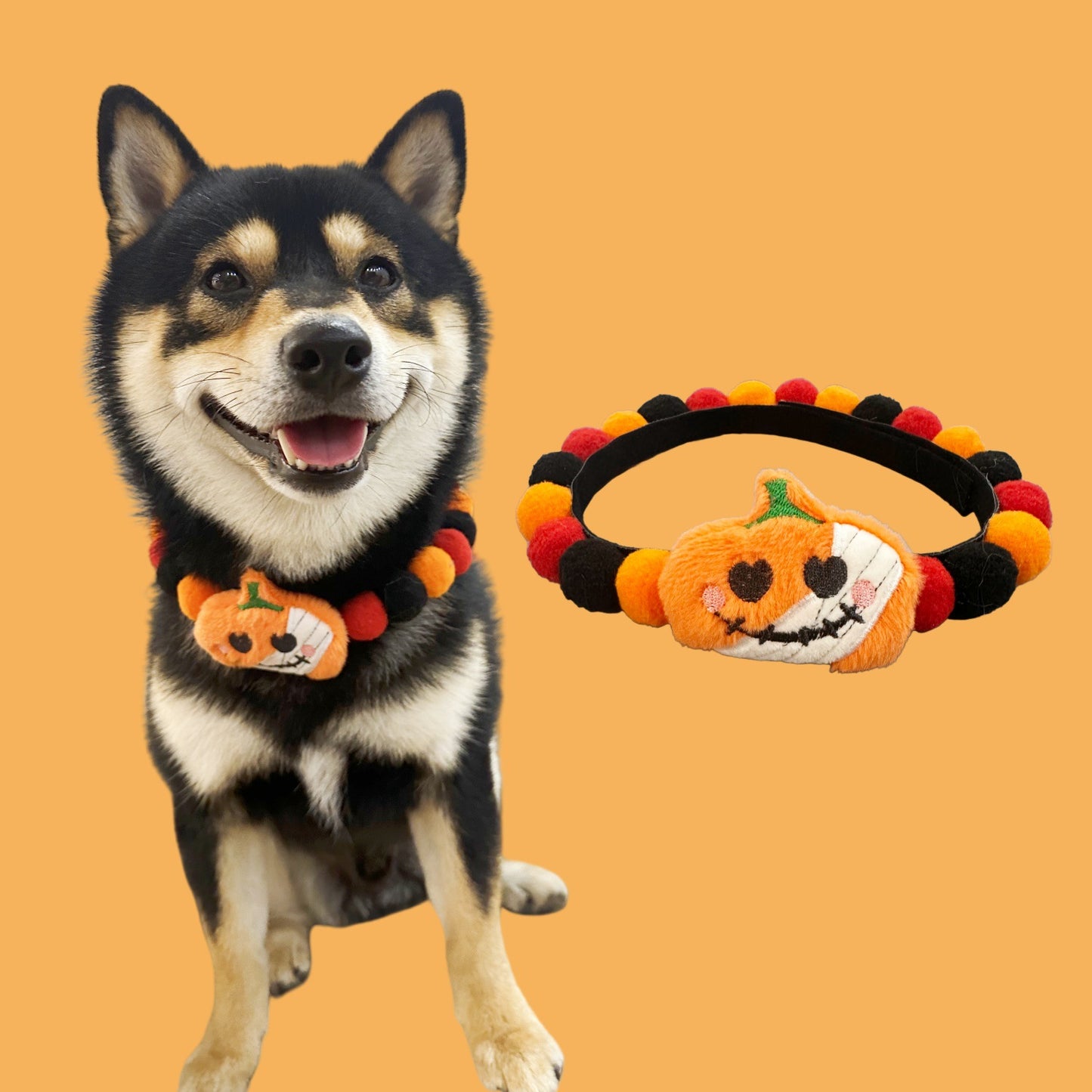 Halloween Dog Collar – Pumpkin Bat Skull Spider Pet Collar for Dogs & Cats