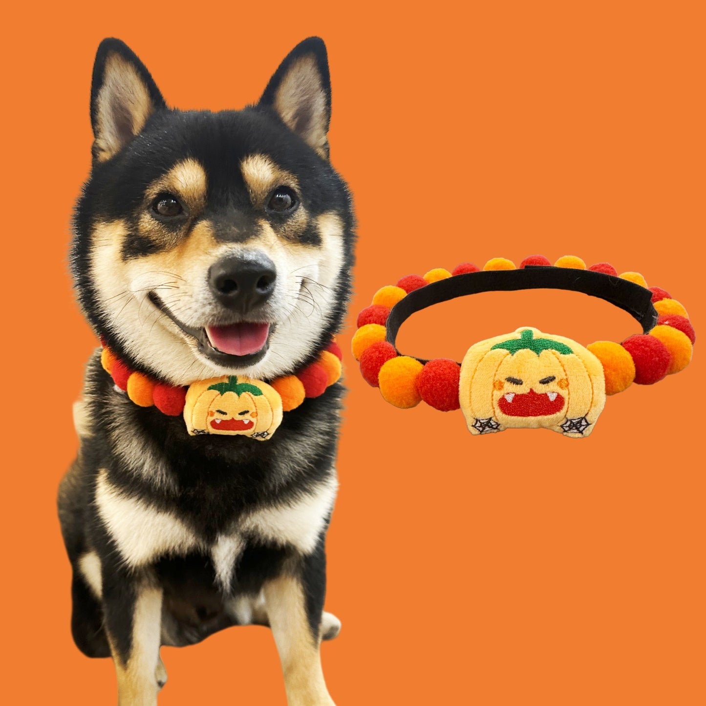 Halloween Dog Collar – Pumpkin Bat Skull Spider Pet Collar for Dogs & Cats