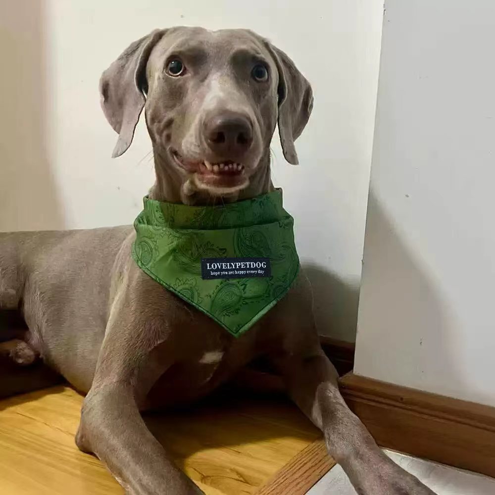 Adjustable Dog Bandana Scarf – Stylish Soft Pet Neck Bandana for Small Medium Large Dogs