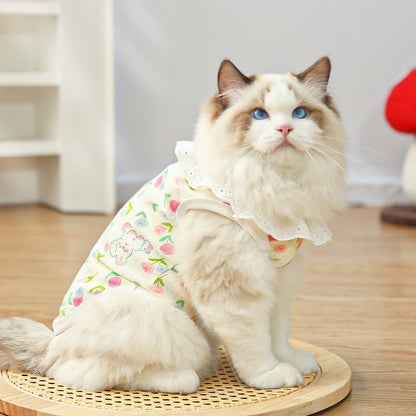 Bear Print Pet Shirt – Cute Lace Collar Summer Fit