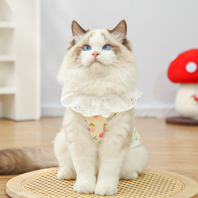 Bear Print Pet Shirt – Cute Lace Collar Summer Fit