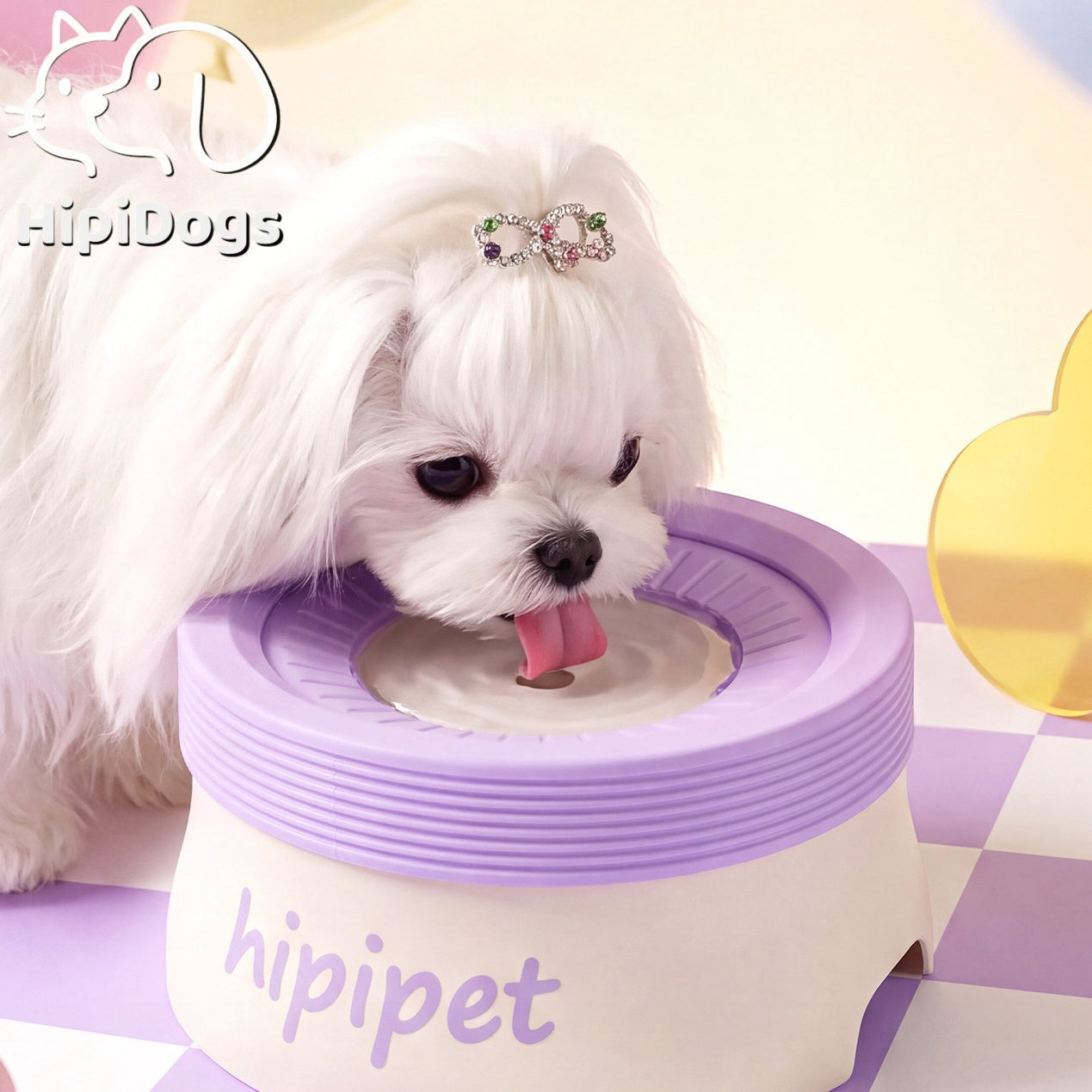 Raised Pet Water Bowl for Dogs & Cats – Wide Drinking Bowl with Elevated Base