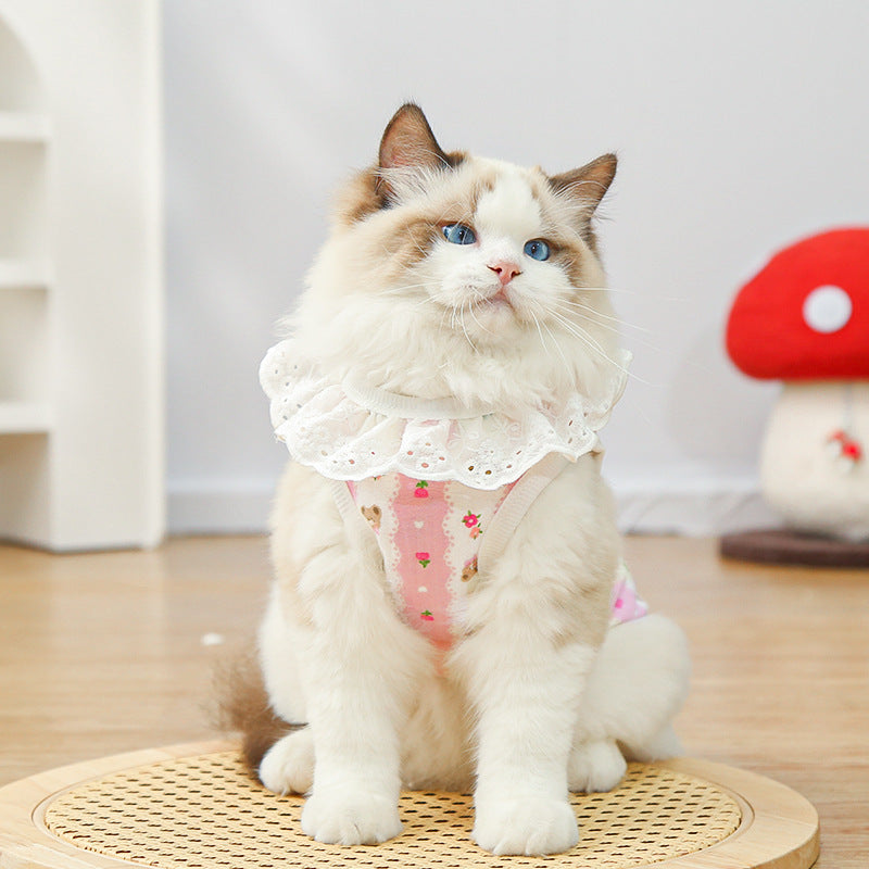Bear Print Pet Shirt – Cute Lace Collar Summer Fit