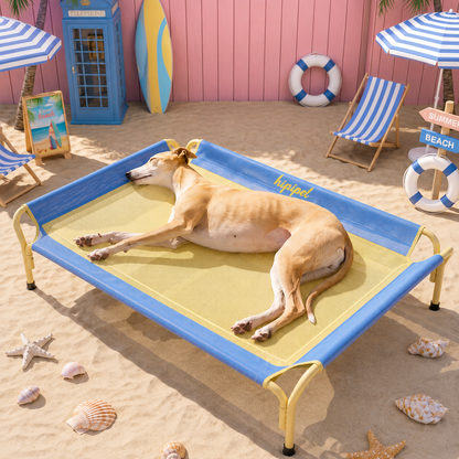 Elevated Cooling Dog Bed with Breathable Mesh Fabric