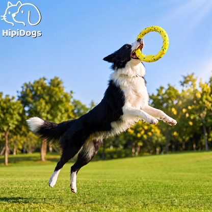Floating Ring Dog Toy – Textured Fetch & Tug Toy for Outdoor and Water Play