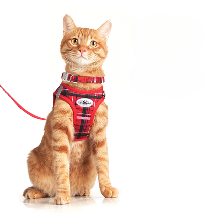 Plaid Cat Harness and Leash Set – Adjustable Soft Mesh Escape-Proof Vest Harness for Indoor & Outdoor Cats