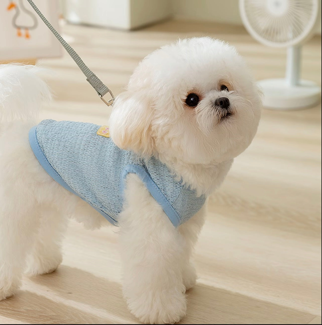 Breathable Soft Harness Vest for Dogs & Cats – Lightweight Comfort Fit
