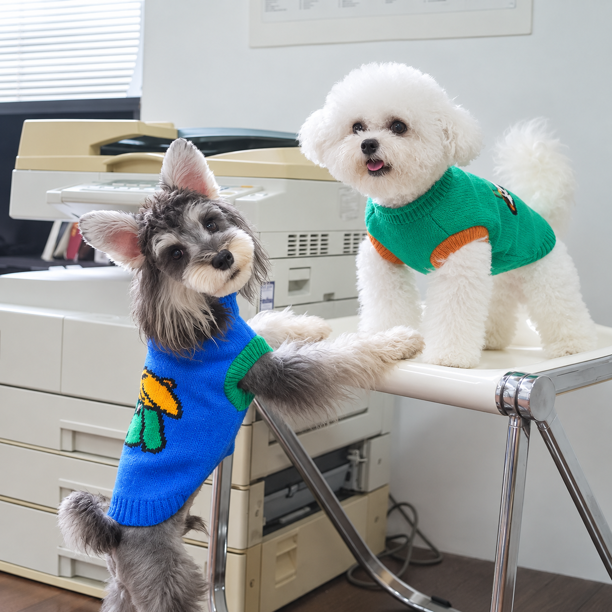 Cute Knit Sweater Vest for Dogs & Cats – Cozy Cartoon Pet Pullover