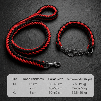 Heavy-Duty Braided Dog Collar & Leash Set for Strong Dogs