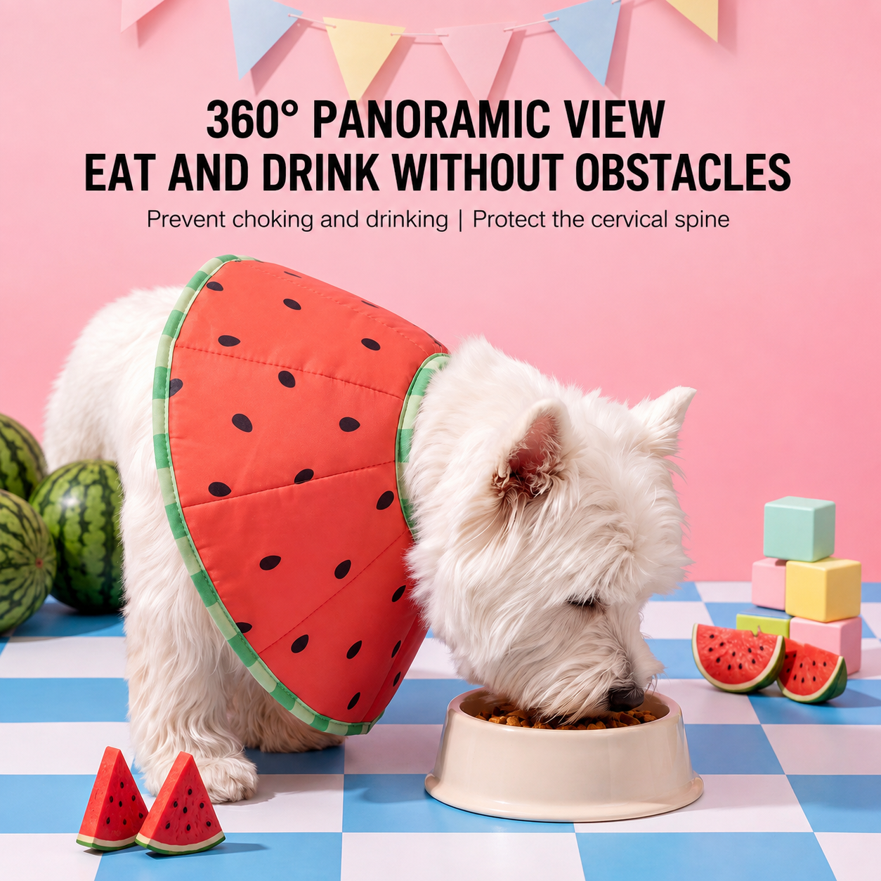 HipiDogs Watermelon Recovery Collar