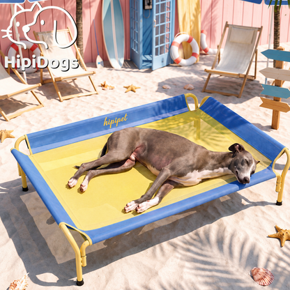Elevated Cooling Dog Bed with Breathable Mesh Fabric