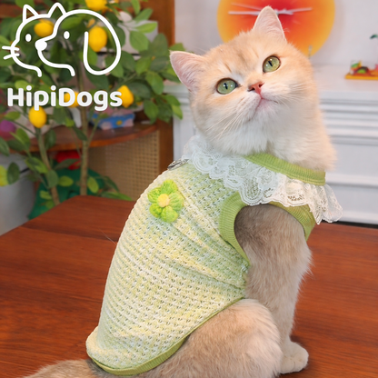 Lace Collar Pet Harness Vest – Breathable Floral Summer Fit