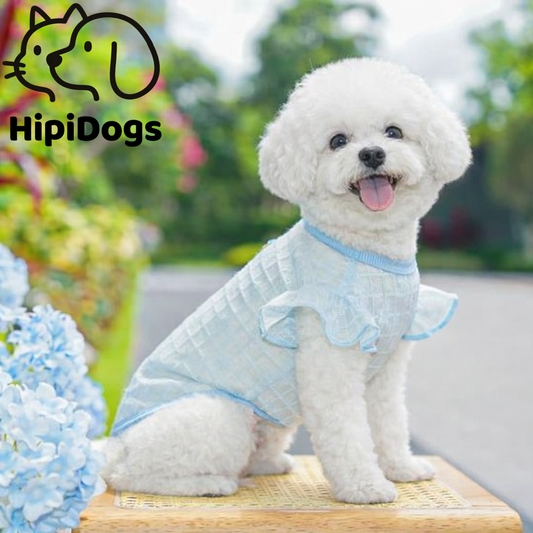 Lace Ruffle Pet Harness Vest – Breathable Summer Fit
