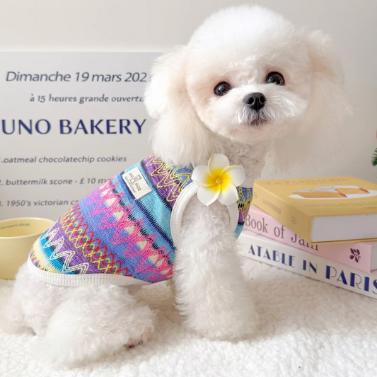 HipiDogs Rainbow Pattern Dog Vest——Suitable for cats and dogs