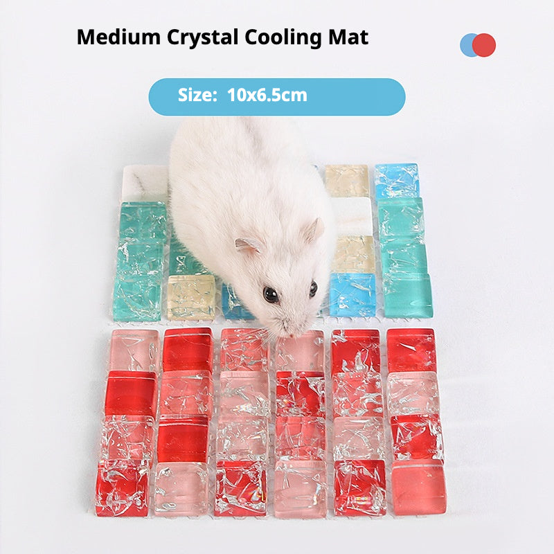 Small Pet Cooling Crystal Mat for Hamsters & Small Animals – Summer Cool Pad 10×5cm