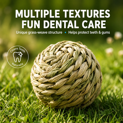 HipiDogs Natural Woven Dog Chew Ball | Durable Interactive Teeth Cleaning Toy