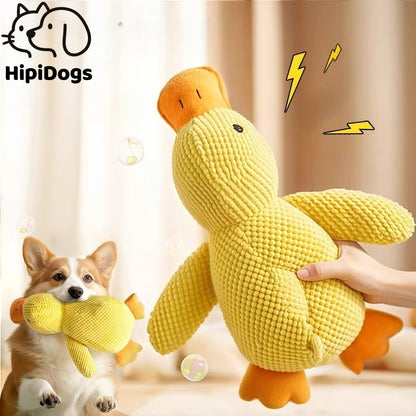 Interactive Duck Quack Sound Dog Toy
