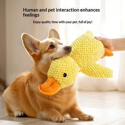 Interactive Duck Quack Sound Dog Toy