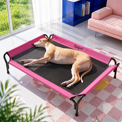 Elevated Cooling Dog Cot Bed with Breathable Mesh Fabric