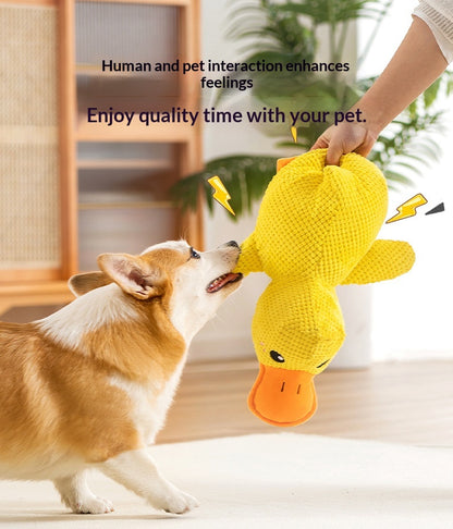 Interactive Duck Quack Sound Dog Toy