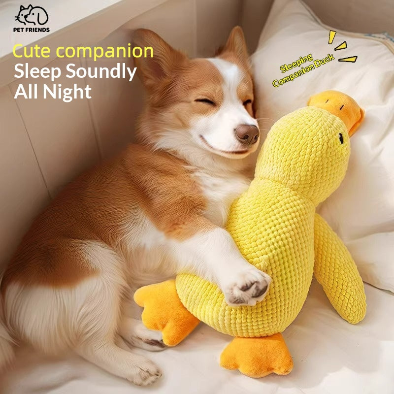 Interactive Duck Quack Sound Dog Toy