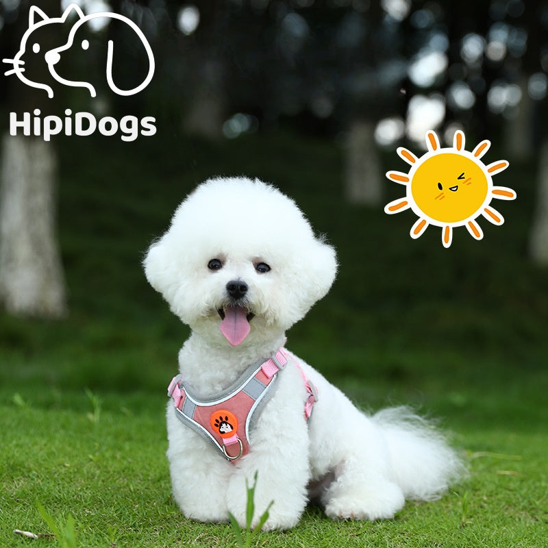 Breathable Mesh Dog Harness – Lightweight Adjustable Vest for Small Dogs